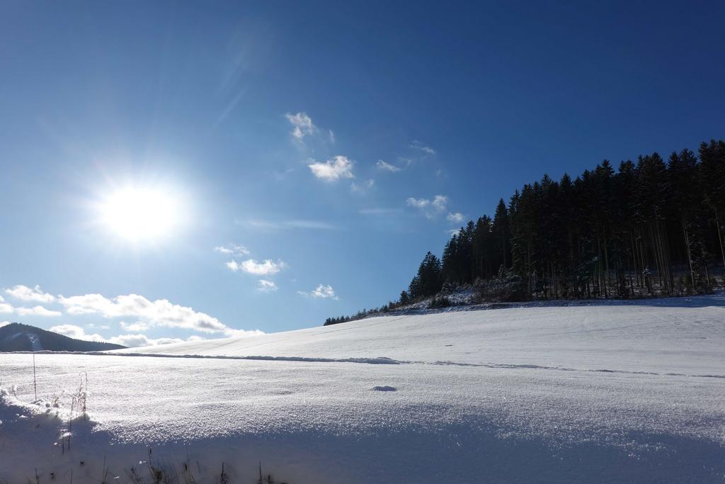 DSC03770_-_Kopie