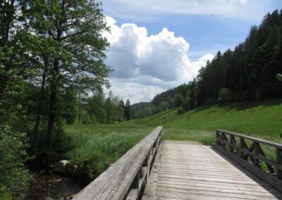 Heimweg