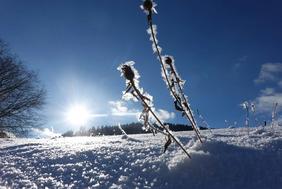 endlich mal wieder Winter….